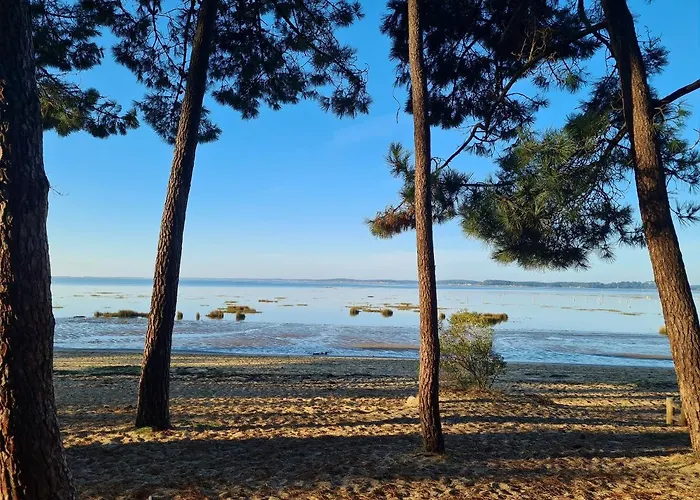 Cosy A - 40 M² - Jardin Cloture * Ares